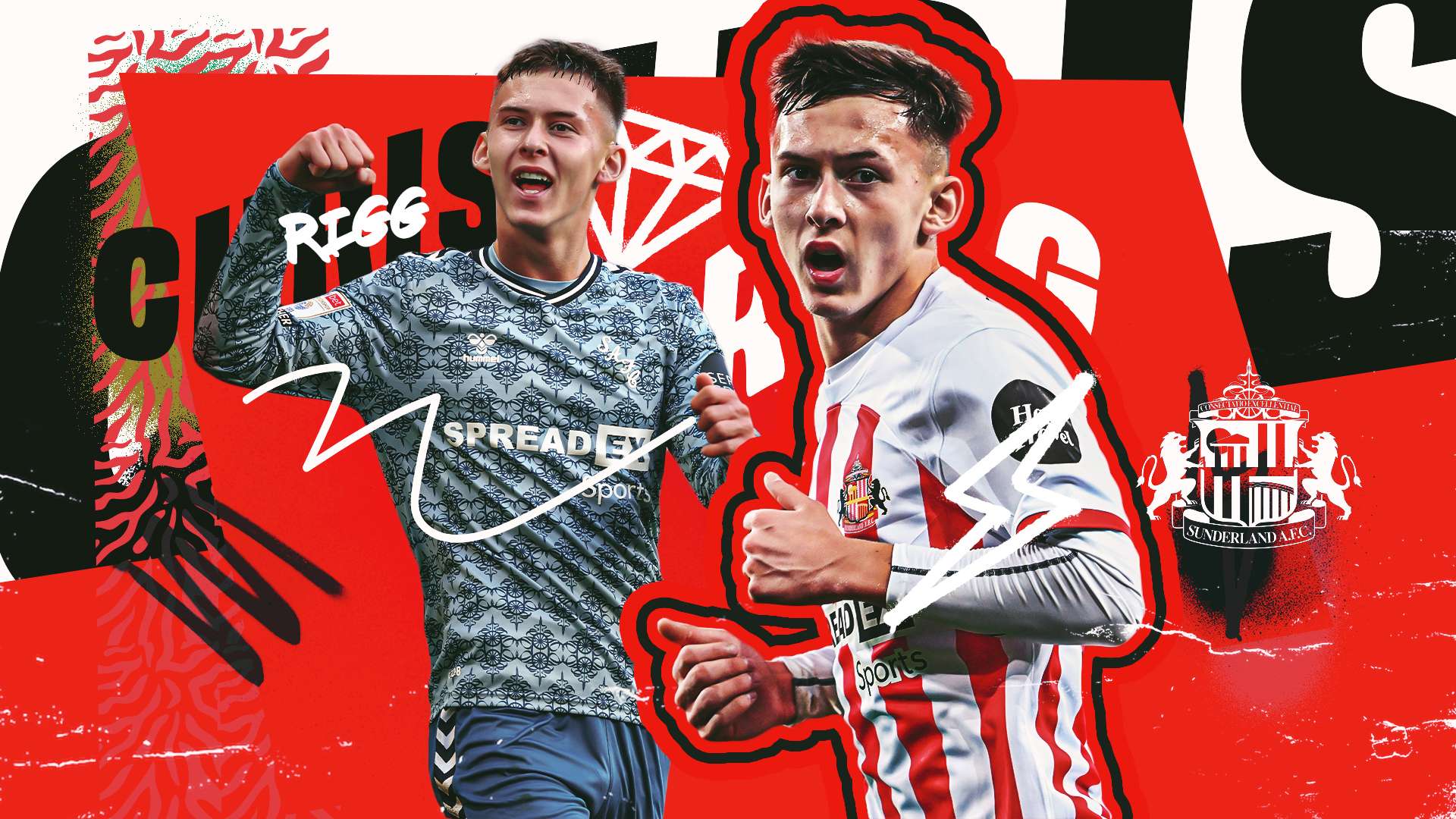 我们不仅能 我们不仅能