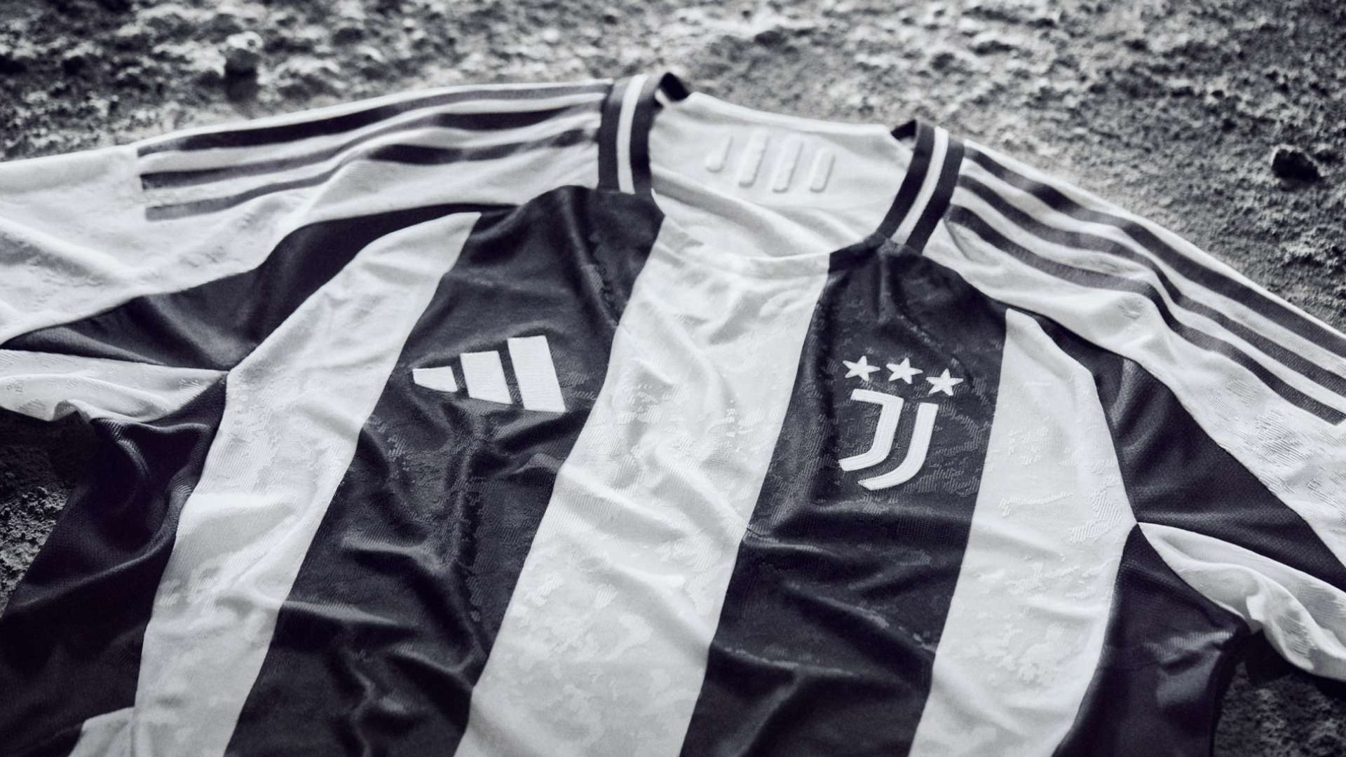 市场的宠儿 市场的宠儿