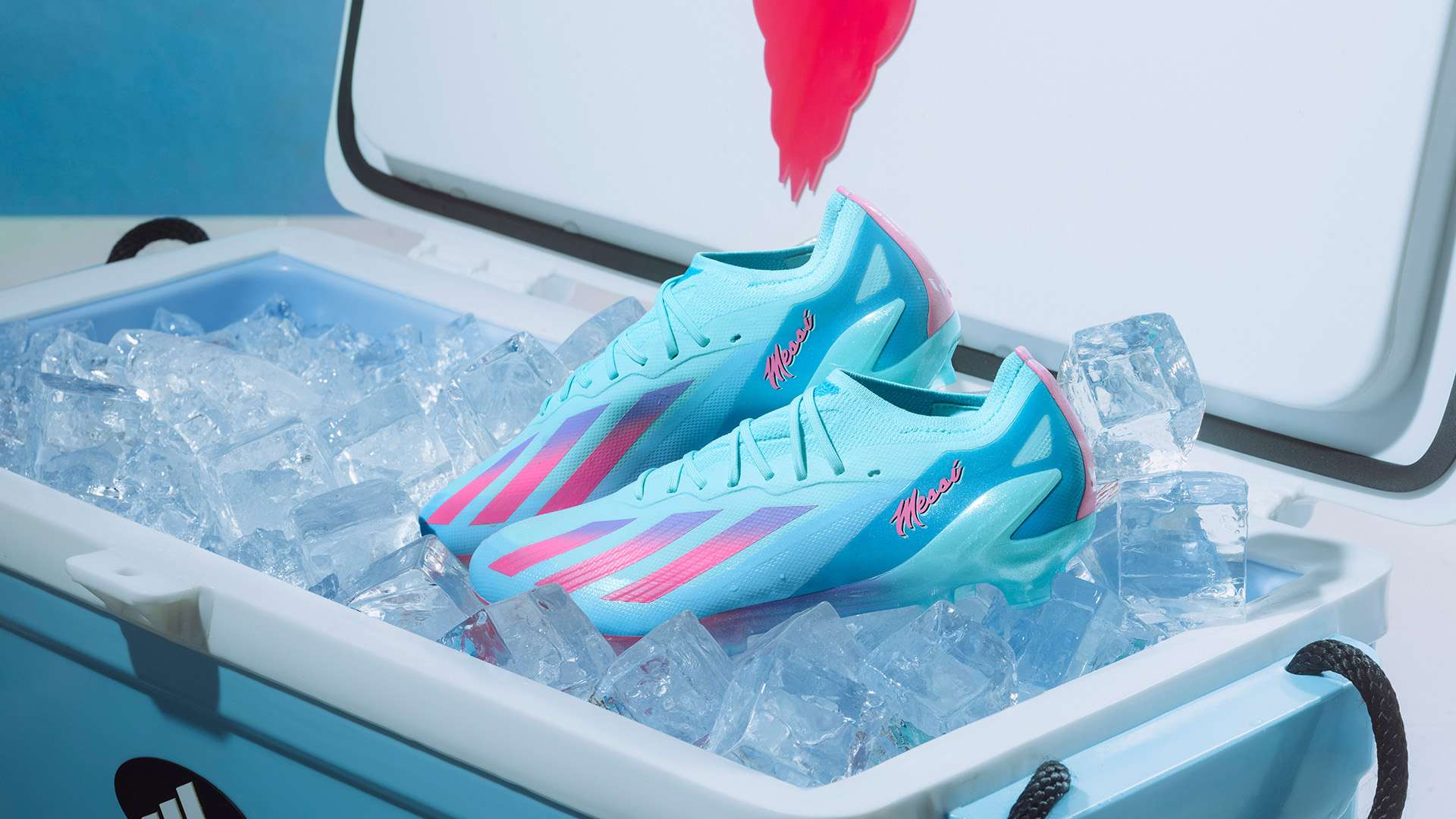 德的具体表 德的具体表